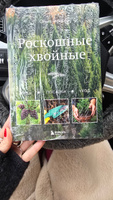 Роскошные хвойные. Виды, посадка, уход | Городец Ольга Владимировна #7, Мария Ч.