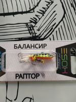 Балансир рыболовный ESOX RAPTOR 40мм, 7гр #34, Сергей М.