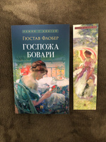 Госпожа Бовари. Роман. (Серия Роман с книгой). | Флобер Гюстав #3, Екатерина А.