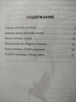 Сборник рассказов для детей иллюстрированный " Птичьи дети. Детская проза ." Со ссылками на записи голосов птиц | Белый Игорь #2, Наталья Витальевна М.