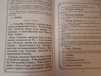 Всенощное бдение. Чинопоследование с пояснениями. Богородичны. Евангельские стихиры. Уставная таблица. Издание для клироса. Большой формат | Соколова Ольга #2, Л