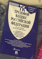 Трудовой кодекс 2024 (по сост. на 25.09.24) с таблицей изменений и с путеводителем по судебной практике. (ТК РФ 2024) #8, Елена Л.