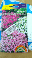 Арабис Альпийская весна разноцветная смесь. Многолетник. Идеален для ландшафтного дизайна! Семена Цветущий сад. 0,05 г. #1, Наталья В.