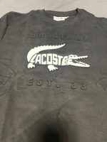 Свитшот Lacoste #18, Акылбек С.