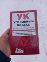 Уголовный кодекс РФ. В ред. на 01.10.24 с табл. изм. и указ. суд. практ. / УК РФ #6, Gray-Fog Roberts