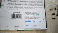 Хоста Гибридная, 1 пакет, семена 0,02г, ЧК #17, Наталья Г.