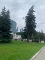 Пневматический пистолет игрушечный с орбизами, пистолет с орбизами с автоматической стрельбой с USB зарядкой #7, Артём