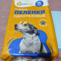 Пеленки для животных одноразовые впитывающие гелевые с липким фиксатором PetMart 60х90 20 штук #70, Ямига