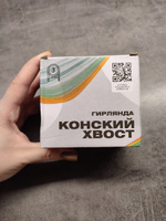 Гирлянда конский хвост роса на елку 3 метра 10 нитей 300 ламп новогодняя светодиодная электрогирлянда теплый свет от сети #37, Анастасия