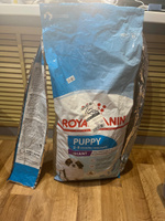 Royal Canin Giant Puppy (Роял Канин Джайнт Паппи со вкусом птицы) корм для щенков гигантских пород (с 2 до 8 месяцев) 15 кг #5, Виктория П.