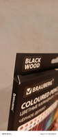 Карандаши деревянные цветные для рисования мягкие Brauberg Black Wood, 24 цвета, трёхгранные, грифель 3 мм #8, Никита Т.