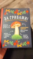 За грибами. Карманный атлас-определитель | Ильина Татьяна Александровна #3, Наталья Б.