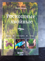 Роскошные хвойные. Виды, посадка, уход | Городец Ольга Владимировна #8, Анна П.