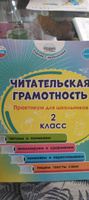 Читательская грамотность 2 класс. Практикум для школьников. | Буряк Мария Викторовна, Шейкина Светлана Анатольевна #5, Ирина Г.