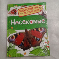 Насекомые. Энциклопедия для детского сада. Познавательные факты о бабочках, жуках и пчелах для детей от 4-5 лет | Клюшник Л. В. #1, Светлана М.