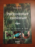 Роскошные хвойные. Виды, посадка, уход | Городец Ольга Владимировна #5, Алексей