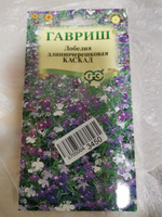 Семена ЛОБЕЛИЯ КАСКАД СМЕСЬ (0,01 грамм) Гавриш - лобелия ампельная #34, Елена Н.