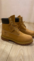 Ботинки Timberland Premium 6 Inch Waterproof Boot #24, Евгений В.