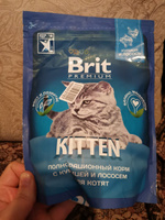 Корм для кошек сухой, BRIT PREMIUM с курицей и лососем для котят "Cat Kitten" 0,4 кг #29, Eugeny