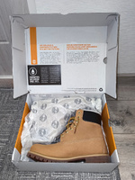 Ботинки Timberland Premium 6 Inch Waterproof Boot #26, Владимир К.