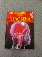 Тело человека. Детская энциклопедия школьника 7 лет | Смит М. #2, Михаил Г.