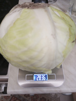 Cswur Электронные кухонные весы Весы кухонные электронные Cswur Kitchen Scale 1g/10kg, серебристый, Аккумулятор/зарядка USB, серебристый #13, Руслан П.