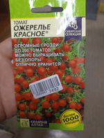 Семена Томат Ожерелье Красное (0,05 гр) - Семена Алтая #54, Анна М.