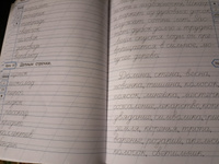 Тренажёр по чистописанию. Учимся писать грамотно. 2 класс НОВЫЙ ФГОС | Жиренко Ольга Егоровна #2, Елена С.