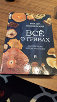 Михаил Вишневский Все о грибах Популярная энциклопедия. | Вишневский Михаил Владимирович #3, Сергей