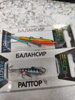 Балансир рыболовный ESOX RAPTOR 40мм, 7гр #41, Константин М.