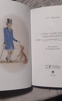 А.С.Пушкин Стихи, написанные в Михайловском. Иллюстрации И.Д. Шаймарданова в цвете. Сборник Твердый переплет | Пушкин Александр Сергеевич #2, Эльвира Е.