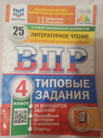 Трофимова Е.В. ВПР Литературное чтение Типовые задания 25 вариантов 4 класс "Экзамен" #1, Юльчик Ю.