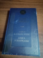 Алиса в Стране чудес. Алиса в Зазеркалье | Кэрролл Льюис #5, Мария Л.