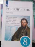 Русский язык. 8 класс. Практика. Учебник | Пичугов Юрий Степанович, Еремеева Ангелина Павловна #1, Татьяна Хисамутдинова