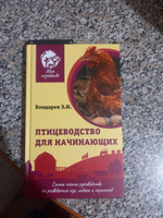 Птицеводство для начинающих. Самое полное руководство по разведению кур, индеек и перепелов | Бондарев Эдуард Иванович #2, Ким З.