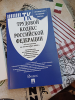 Трудовой кодекс 2024 (по сост. на 25.09.24) с таблицей изменений и с путеводителем по судебной практике. (ТК РФ 2024) #6, Александра С.