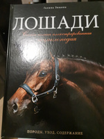 Лошади. Самая полная иллюстрированная энциклопедия | Зимина Галина #1, Александр 