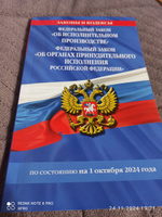 ФЗ "Об исполнительном производстве". ФЗ "Об органах принудительного исполнения Российской Федерации" по сост. на 01.10.2024 / ФЗ №229-ФЗ. ФЗ №118-ФЗ #4, Алексей Ф.