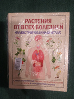 РАСТЕНИЯ ОТ ВСЕХ БОЛЕЗНЕЙ. Иллюстрированный атлас #1, Рита Х.