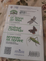 От земли до неба. Атлас-определитель1-4 классы. УМК "Зеленый дом (Школа России)" | Плешаков Андрей Анатольевич #2, Айгуль Ф.