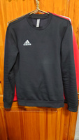 Свитшот adidas Ent22 Sw Top #14, Шалыгин Олег Игоревич