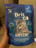 Корм для кошек сухой, BRIT PREMIUM с курицей и лососем для котят "Cat Kitten" 0,4 кг #24, Ирина Д.