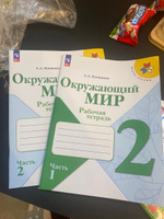 Окружающий мир 2 класс. Рабочие тетради к новому ФП. Комплект из 2-х частей. ФГОС | Плешаков Андрей Анатольевич #1, Наида А.