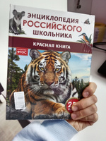 Красная книга. 250 фактов. Энциклопедия российского школьника. Для детей 6+ и начальных классов | Клюшник Л. В. #2, Сауле Д.