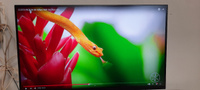 Xiaomi 27" Монитор Монитор Xiaomi Redmi G27 oled 165 гц (P27FBB-RG), черно-серый #88, Василий С.