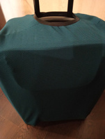 VELOUR CASE Чехол для чемодана #60, Евгений К.