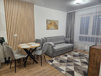 Шторы бархат HavaHome 260x200, светло-серые. Комплект штор из 2 шт по 200 см. Портьеры для комнаты, гостиной, кухни. #24, Светлана О.