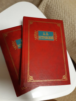 А.Н. Островский: Избранные сочинения в 2х томах (Комплект из 2х томов) | Островский Александр Николаевич #2, Светлана О.