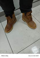 Ботинки Timberland Premium 6 Inch Waterproof Boot #23, Сергей М.