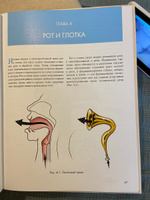 Анатомия голоса. Иллюстрированное руководство для певцов, преподавателей по вокалу и логопедов. Даймон Теодор. #2, Айгюль М.